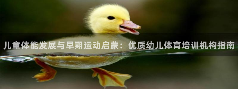 焦点娱乐：儿童体能发展与早期运动启蒙：优质幼儿体育培