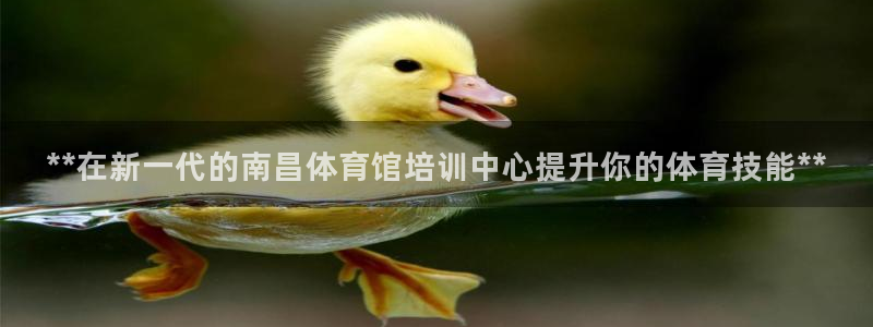 焦点娱乐是黑平台吗知乎：**在新一代的南昌体育馆培训