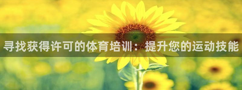 焦点娱乐平台登录不了怎么回事：寻找获得许可的体育培训