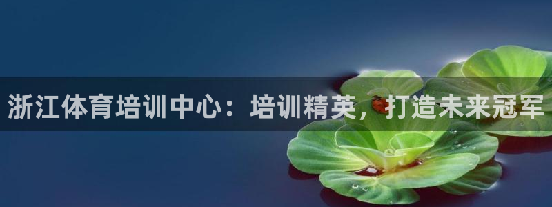 焦点娱乐平台登录不了：浙江体育培训中心：培训精英，打