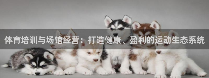 焦点娱乐是哪个公司的产品：体育培训与场馆经营：打造健