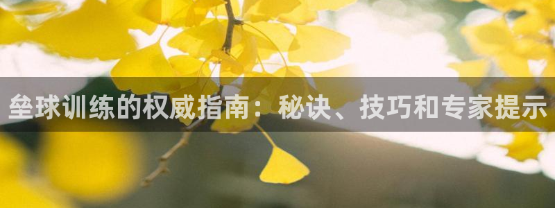 焦点娱乐说说句子：垒球训练的权威指南：秘诀、技巧和专