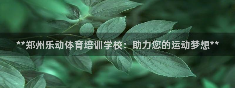 焦点娱乐传媒有限公司招聘要求：**郑州乐动体育培训学
