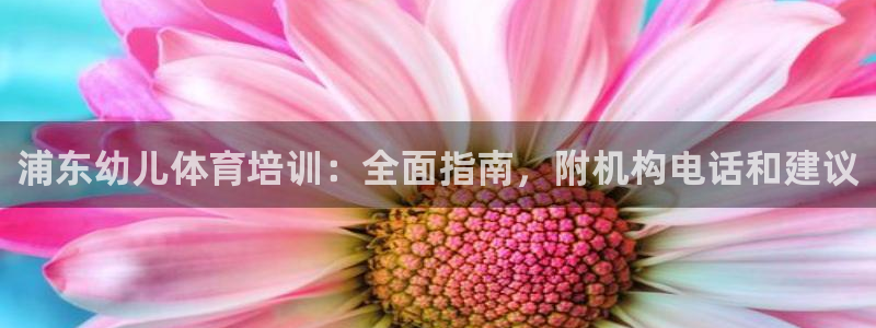 焦点娱乐官网下载安装：浦东幼儿体育培训：全面指南，附