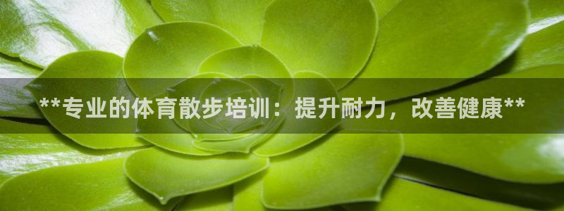焦点娱乐官方网站首页：**专业的体育散步培训：提升耐