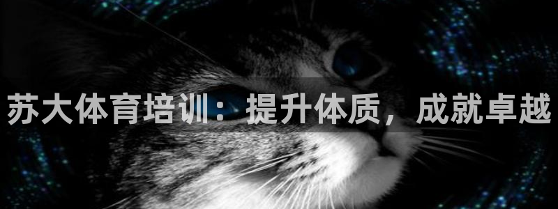 焦点娱乐平台账号在哪注册的：苏大体育培训：提升体质，