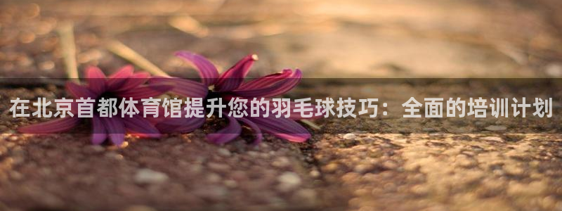 焦点娱乐违法吗：在北京首都体育馆提升您的羽毛球技巧：