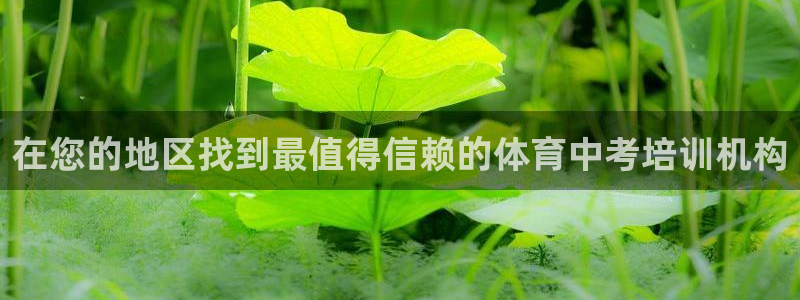 焦点娱乐vs皇族不败神话小说：在您的地区找到最值得信