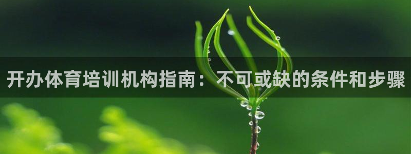 焦点娱乐怎么找不到了：开办体育培训机构指南：不可或缺