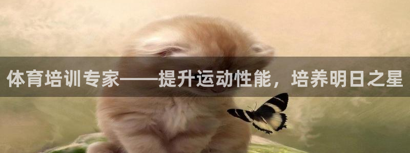 焦点娱乐平台：体育培训专家——提升运动性能，培养明日