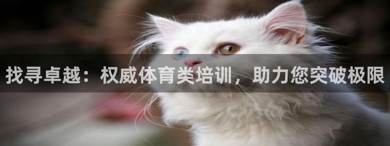 焦点娱乐官方网站下载手机版安装：找寻卓越：权威体育类