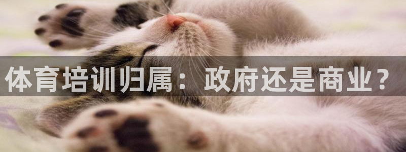 焦点娱乐如何注册账号和密码呢：体育培训归属：政府还是