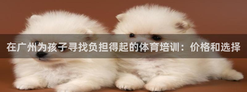 焦点娱乐平台总代理开户：在广州为孩子寻找负担得起的体