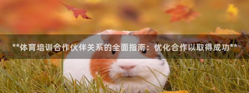 焦点娱乐官网下载安装：**体育培训合作伙伴关系的全面