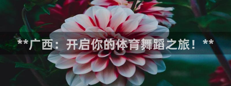 焦点娱乐官方网站入口下载手机版：**广西：开启你的体