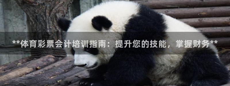 焦点娱乐平台玩法官方导师：**体育彩票会计培训指南：