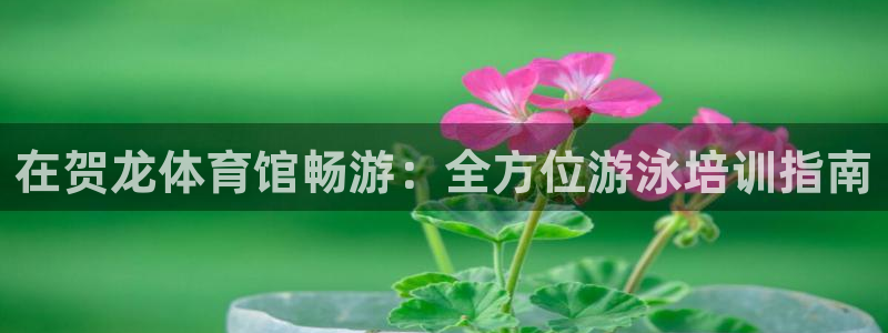 焦点娱乐官方网站下载手机版苹果：在贺龙体育馆畅游：全