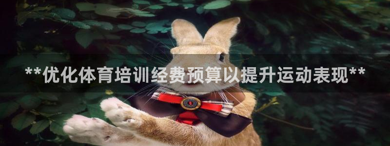 焦点娱乐传媒：**优化体育培训经费预算以提升运动表现