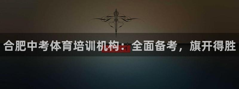 焦点娱乐总代理是谁：合肥中考体育培训机构：全面备考，