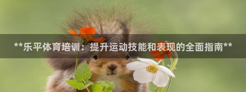 焦点娱乐平台注册账号安全吗是真的吗：**乐平体育培训