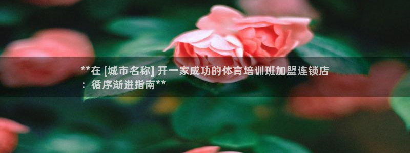 焦点娱乐怎么找导师：**在 [城市名称] 开一家成功