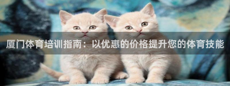 焦点娱乐app下载官网最新版苹果：厦门体育培训指南：