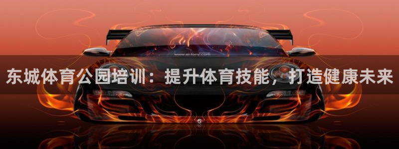 焦点娱乐股东有哪些：东城体育公园培训：提升体育技能，打造健康