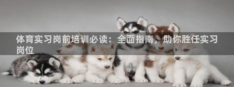 焦点娱乐：体育实习岗前培训必读：全面指南，助你胜任实