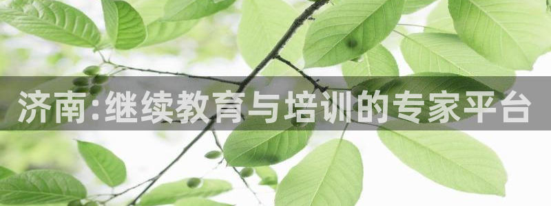 焦点娱乐跨服怎么玩