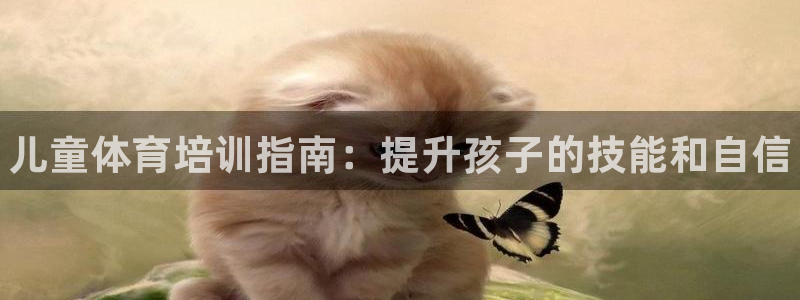焦点娱乐公司简介：儿童体育培训指南：提升孩子的技能和