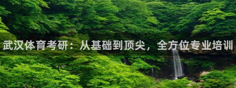 焦点娱乐总代理是谁