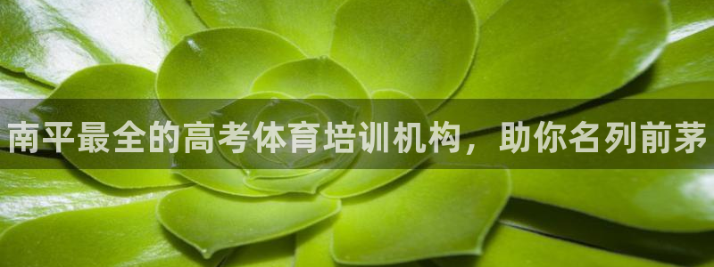 焦点娱乐讲7O777