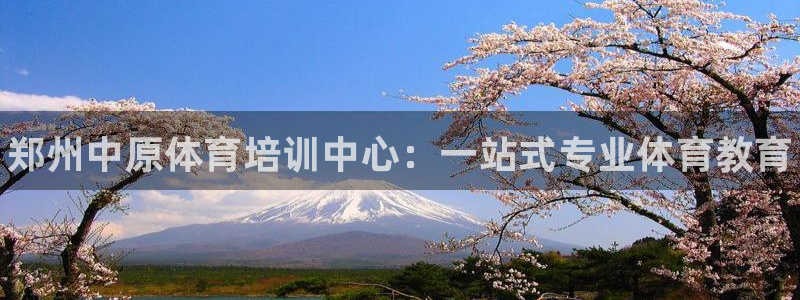 焦点娱乐平台登录不了怎么办：郑州中原体育培训中心：一