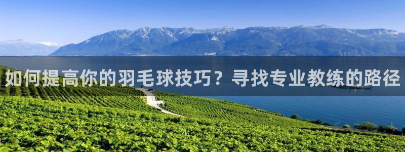 焦点娱乐app下载：如何提高你的羽毛球技巧？寻找专业