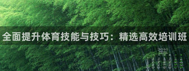 焦点娱乐公司简介：全面提升体育技能与技巧：精选高效培