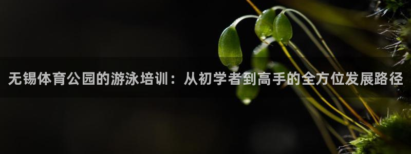 焦点娱乐加速器下载安卓：无锡体育公园的游泳培训：从初