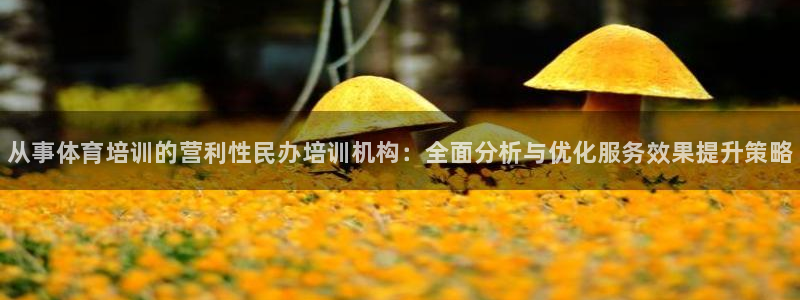 焦点娱乐官方网站首页入口在线观看：从事体育培训的营利