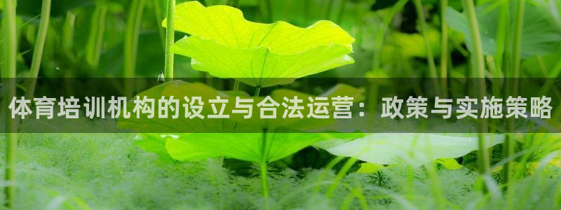 焦点娱乐官网下载安装苹果手机：体育培训机构的设立与合