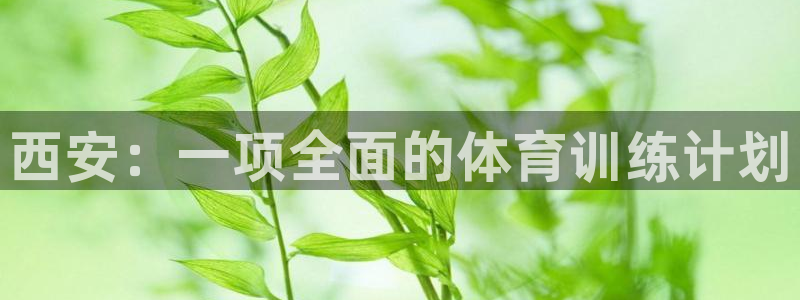 焦点娱乐门徒娱乐骗局揭秘：西安：一项全面的体育训练计