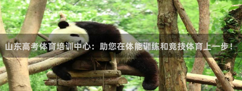 焦点娱乐平台留7O777：山东高考体育培训中心：助您在体能训