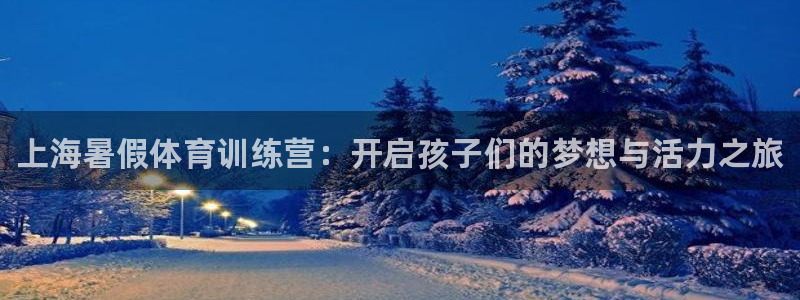 焦点娱乐股东有哪些：上海暑假体育训练营：开启孩子们的梦想与活