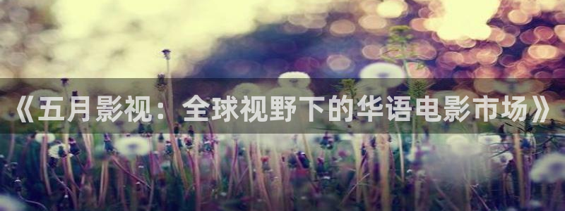 黑狐影院皮特电影：《五月影视：全球视野下的华语电影市场》
